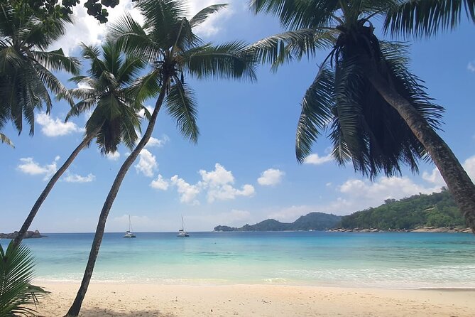 5 Hour Private Customize Tour of Mahe, Seychelles - Anse Royale Beach: finish with time to breathe