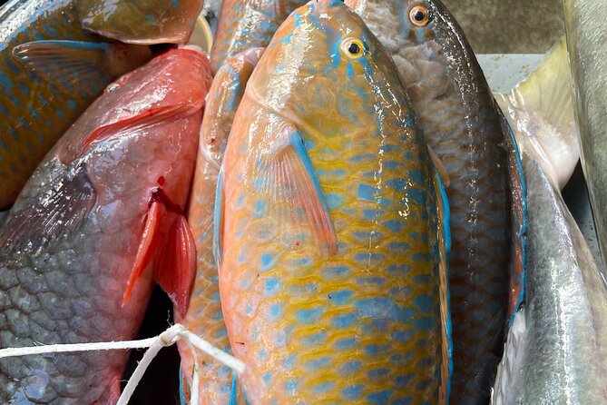 5 Hour Private Customize Tour of Mahe, Seychelles - What the $165 price really buys you