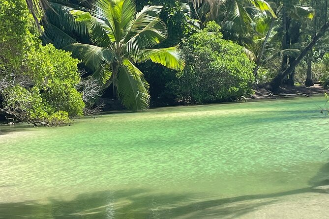 5 Hour Private Customize Tour of Mahe, Seychelles - Victoria Market: start with everyday Seychelles