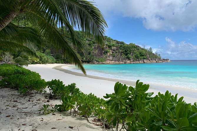 Beaches, swimming & snorkeling | Mahe, Seychelles | Private Tour - Key things to know before booking