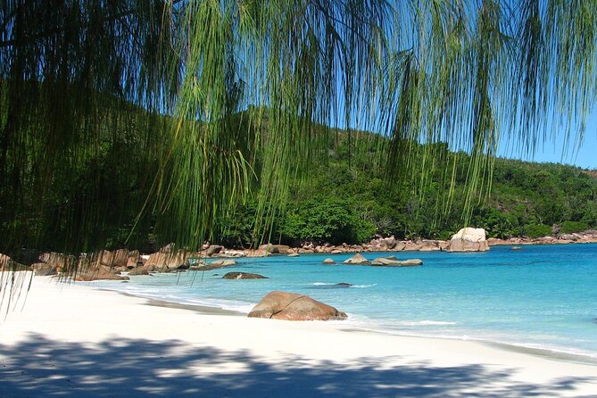 Beaches, swimming & snorkeling | Mahe, Seychelles | Private Tour - Anse a la Mouche is for sitting, not swimming