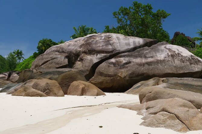 Beaches, swimming & snorkeling | Mahe, Seychelles | Private Tour - Beau Vallon has the most choice