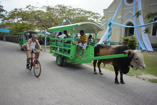 Cat Rose: Praslin Island / La Digue Island Fast Ferry - Baggage, group size, and practical comfort