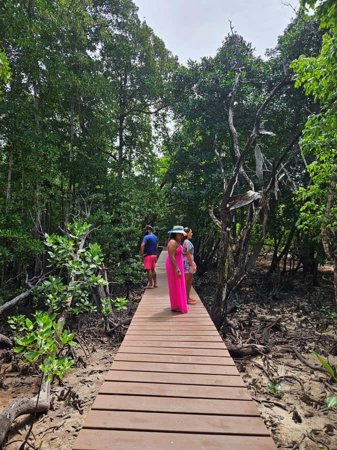 "Curieuse and St-Pierre Island Adventure: with Creole, BBQ - The day at a glance