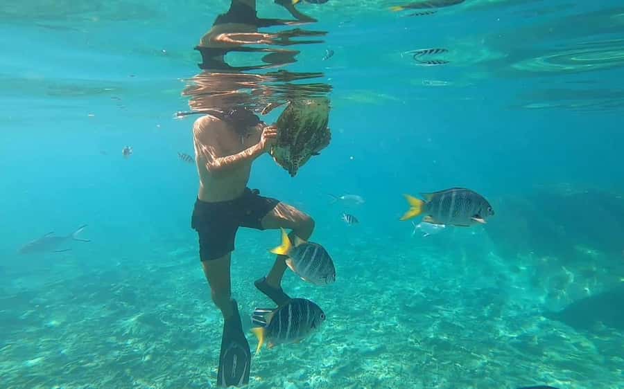"Curieuse and St-Pierre Island Adventure: with Creole, BBQ - Snorkeling at St. Pierre Island