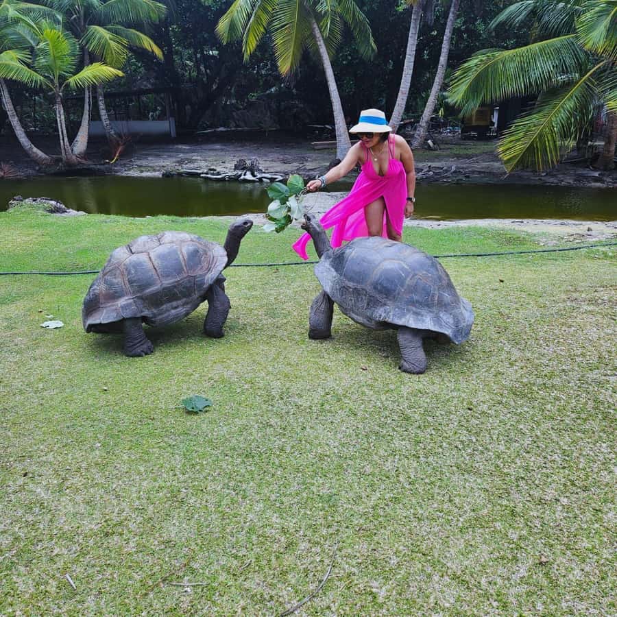 "Curieuse and St-Pierre Island Adventure: with Creole, BBQ - The Doctor’s House and mangrove trail