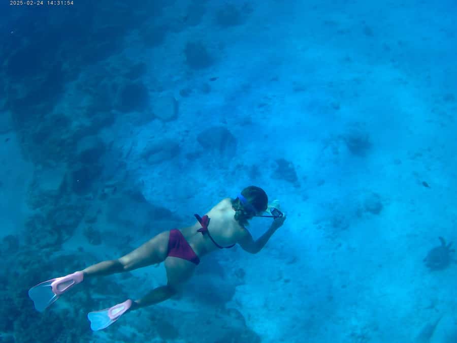 Curieuse and St Pierre Snorkeling Half-Day Trip No BBQ Lunch - Key points at a glance