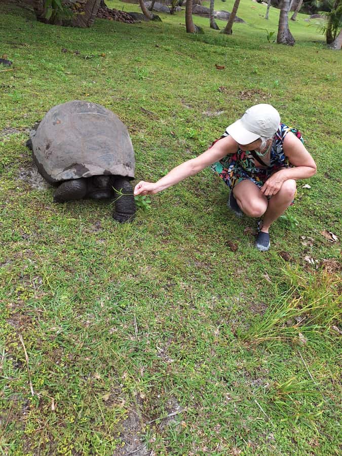 Curieuse and St Pierre Snorkeling Half-Day Trip No BBQ Lunch - Final verdict: a strong short outing with one extra fee