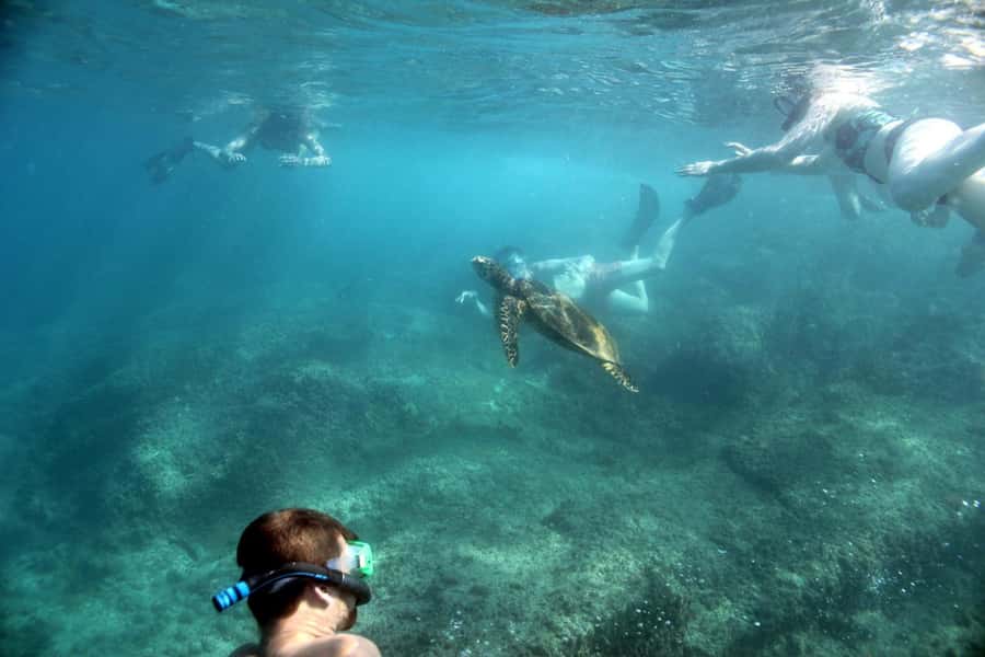 Curieuse Guided Tour, St Pierre, BBQ & 2 Snorkel Stops - Why this Praslin day trip earns its strong reputation