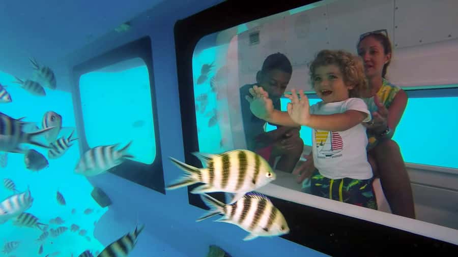 Eden Island: Semi-Submarine Tour in St. Anne Marine Park - Key points at a glance