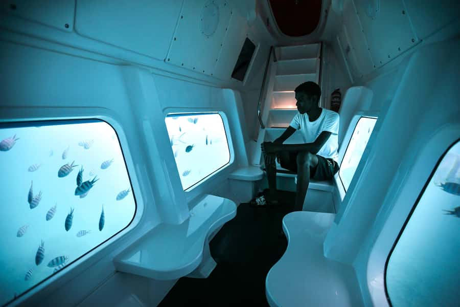 Eden Island: Semi-Submarine Tour in St. Anne Marine Park - Fish, coral, turtles, and what you might actually see