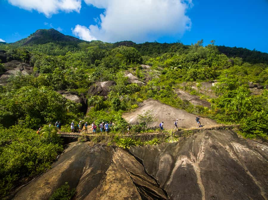 From Mahe: Guided Nature Trail Walk to Anse Major Beach - Key points at a glance