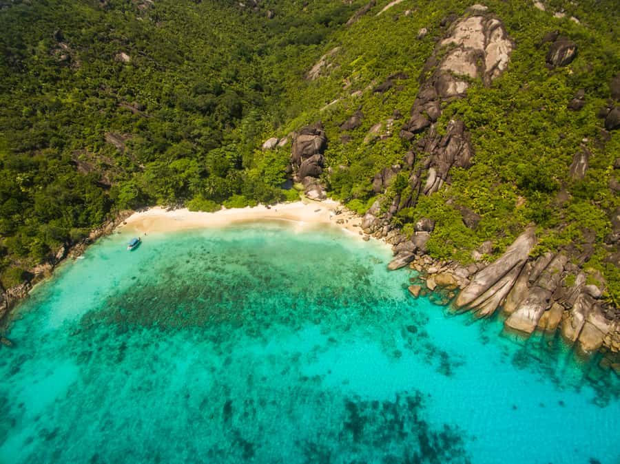 From Mahe: Guided Nature Trail Walk to Anse Major Beach - Watching the sea for Ile du Nord and Silhouette Island