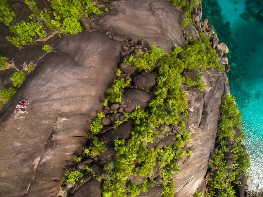 From Mahe: Guided Nature Trail Walk to Anse Major Beach - Bird calls and Seychelles plant life
