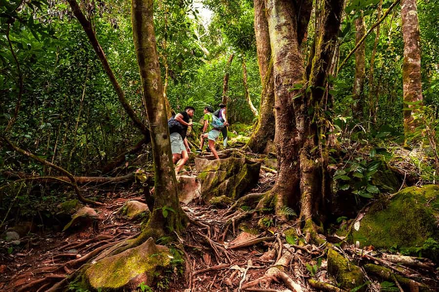From Mahe: Guided Nature Trail Walk to Morne Blanc - Key points to know before you book