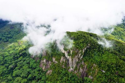 Guided Nature Trail Walk to Morne Blanc