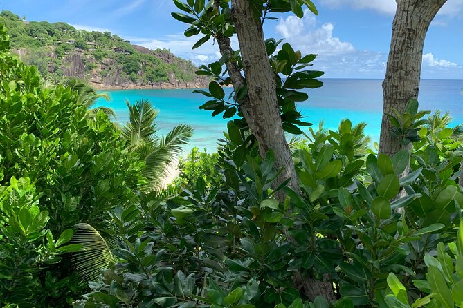 Full day (5-6 hours) island tour on Mahé with pick-up - Anse Intendance is the stop for sea time