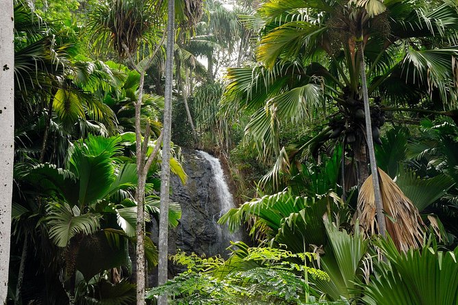 Full Day Discovery Tour of Vallee de Mai and Anse Lazio on Praslin Island - Anse Lazio brings the day back to sea level