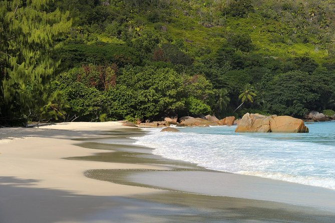 Full Day Discovery Tour of Vallee de Mai and Anse Lazio on Praslin Island - My verdict: book it for the contrast