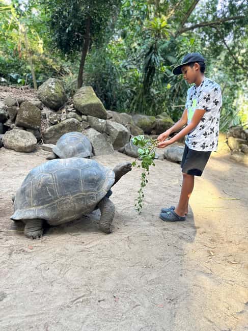 Full day Mahe Tour - Key points to know before booking