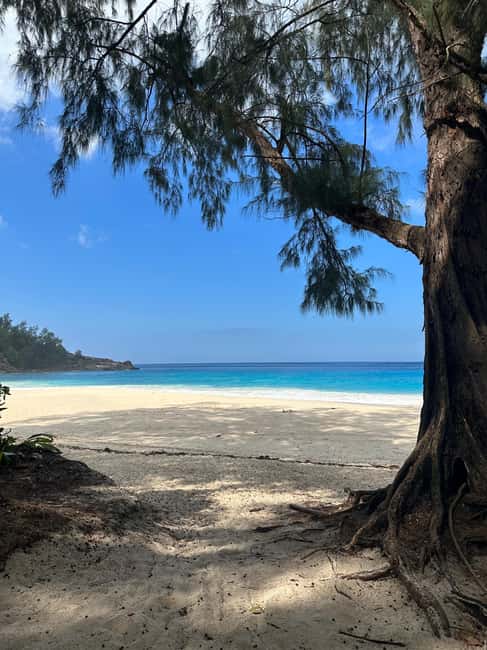 Full day Mahe Tour - Beau Vallon and the best beach stops