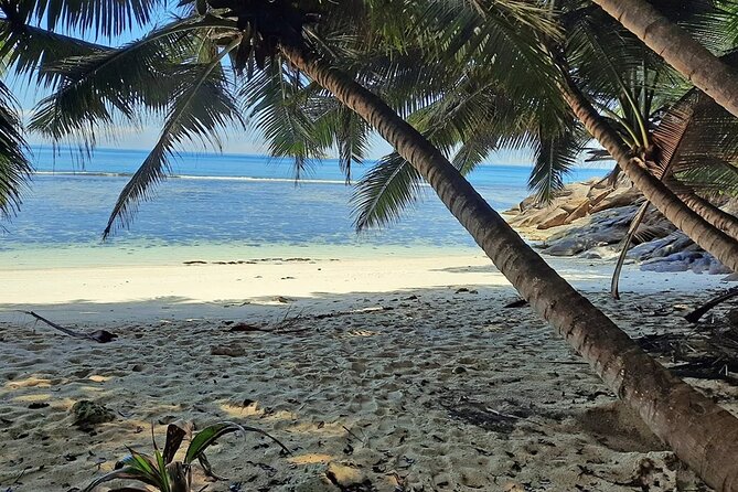 Full Day Reef Safari at St Anne Marine Park Seychelles - The crew, boat, and comfort questions