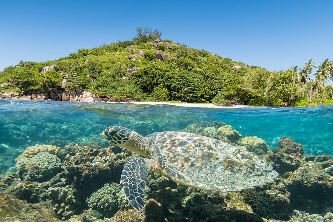 Full Day Reef Safari at St Anne Marine Park Seychelles - Is $146.43 a fair price?
