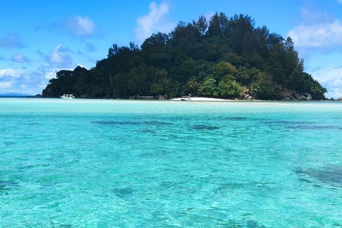 Full Day Reef Safari at St Anne Marine Park Seychelles - Who will enjoy this tour most?