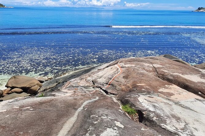 Full Day Reef Safari at St Anne Marine Park Seychelles - St Anne Marine Park’s coral and seagrass waters