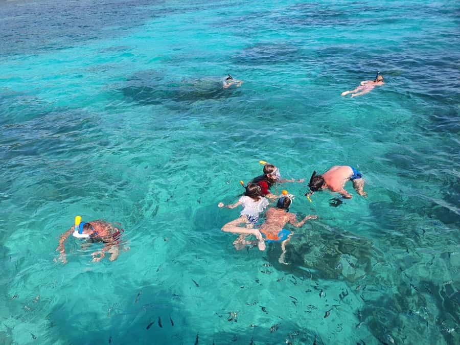 Glassbottom boat & Crystalkayak SteAnneMarinePark Snorkeling - Weather, packing, and comfort advice