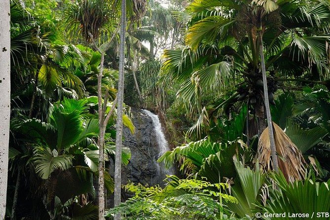 Half Day Discovery Tour of Vallee de Mai on Praslin Island - Key points to know before you go