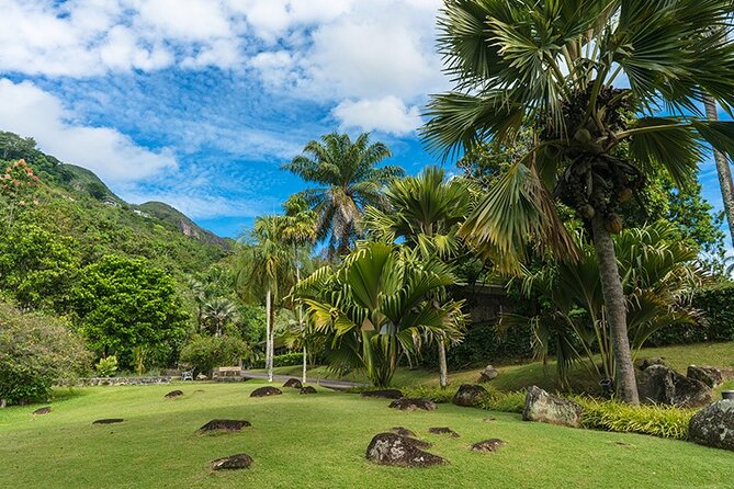 Half Day Discovery Tour of Victoria - Seychelles Capital on Mahe Island - What the past feedback tells you to expect