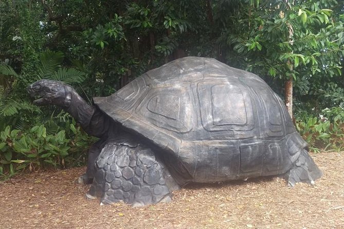Half-Day Mahe private Tour - Key Things to Know Before Booking