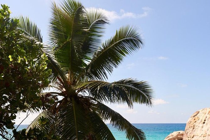 Half-Day Mahe private Tour - Mission Lodge: The View Worth Prioritizing