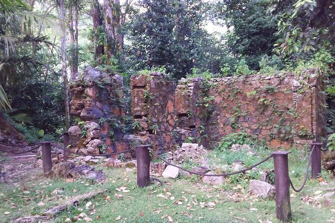Half-Day Mahe private Tour - The Route May Need Adjusting
