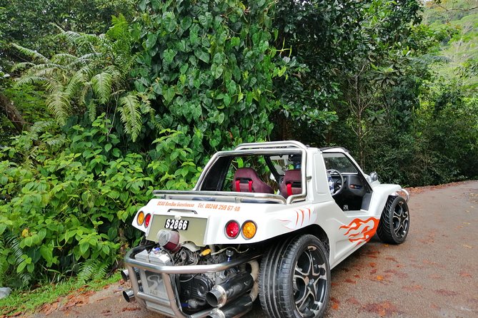 Island tour with the beach buggy - Key points to know before you book