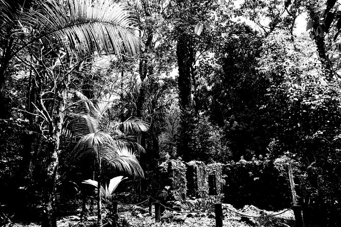 Island tour with the beach buggy - Sauzier Waterfall: a cool first stop