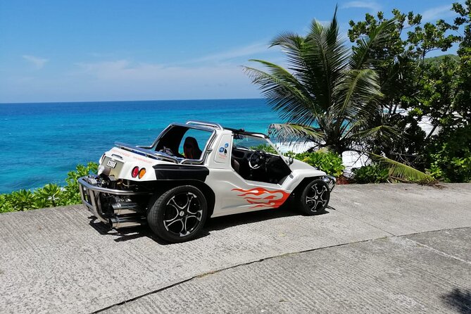 Island tour with the beach buggy - Takamaka Rum Distillery: tasting, gardens, and tortoises