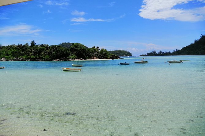 Island tour with the beach buggy - Beaches, roadside stops, and the flexible route