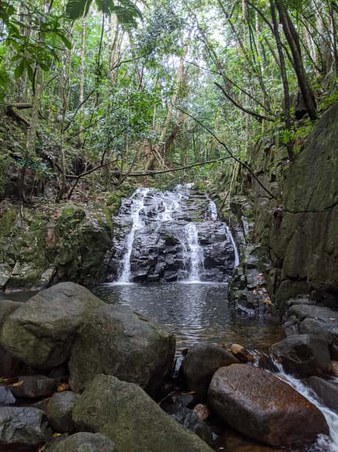 Jungle Adventure Hike:Climb, Waterfall, Discover Seychelles! - The climb to Gorilla Rock and the southern coast