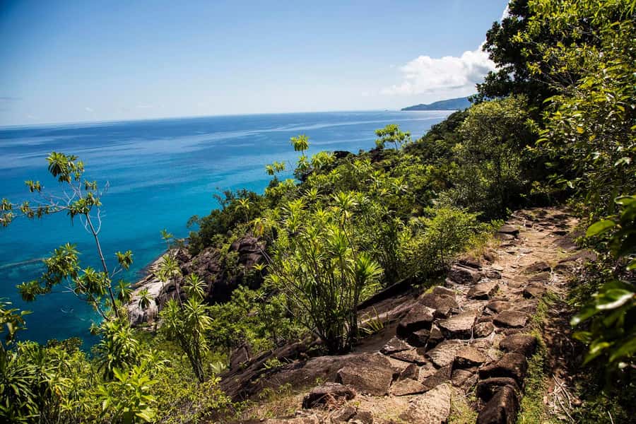 Mahé: Baie Ternay Park Catamaran Cruise with BBQ Lunch - Guide quality can shape the whole outing