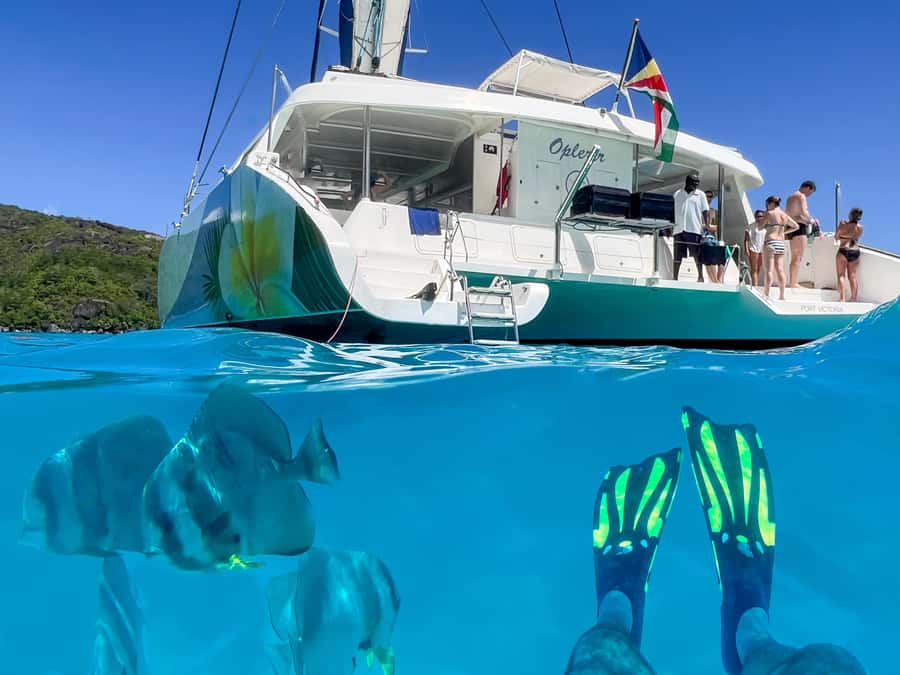 Mahé: Baie Ternay Park Catamaran Cruise with BBQ Lunch - Who will enjoy this cruise most?