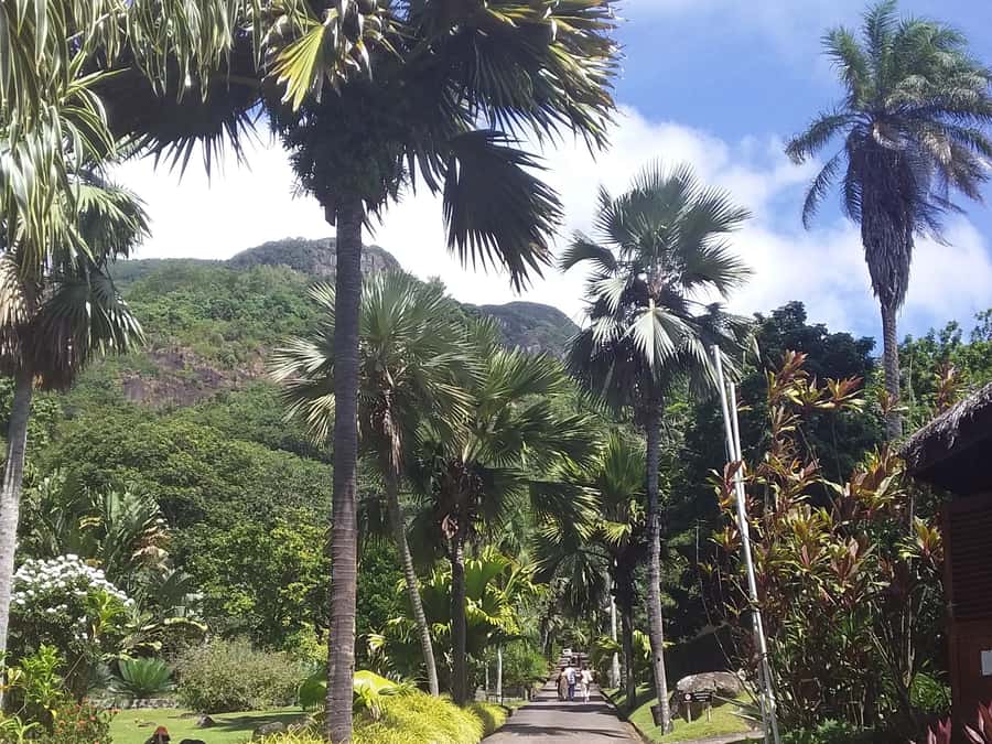 Mahé: Customizable Private Tour of Island with Driver - Lunch, cafés, and the cost of extra stops