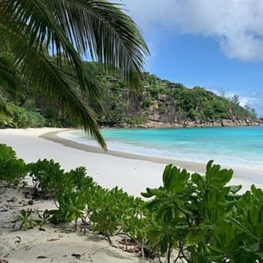 Mahe Discovery Bus Tour - Weather, Packing, And Beach Practicalities