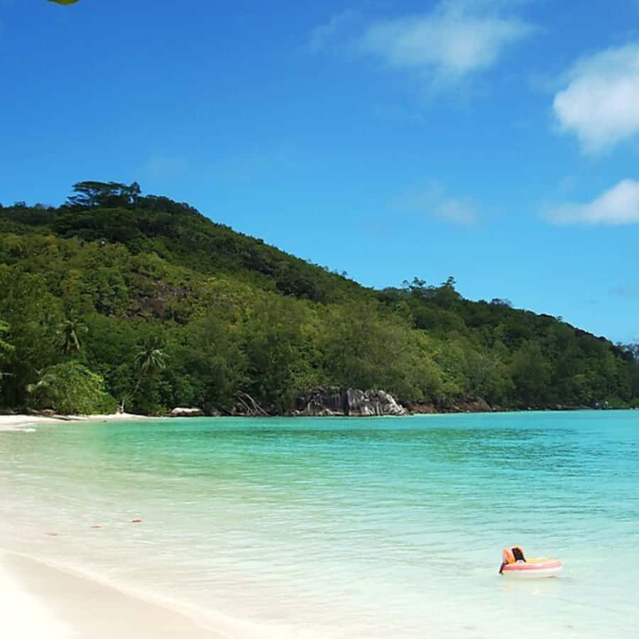 Mahe Discovery Bus Tour - Who Will Get The Most From This Excursion
