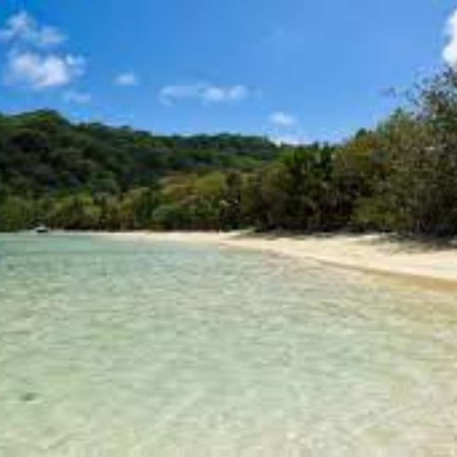 Mahe Discovery Bus Tour - The Ride In A Van With A Local Driver