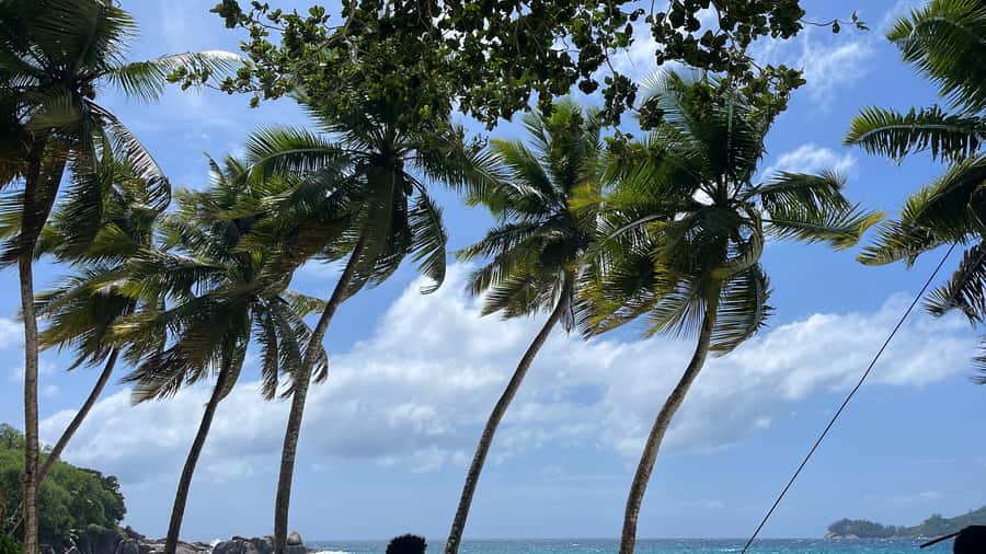 Mahe Island: Private Mahe Island Tour - Key points to know before booking