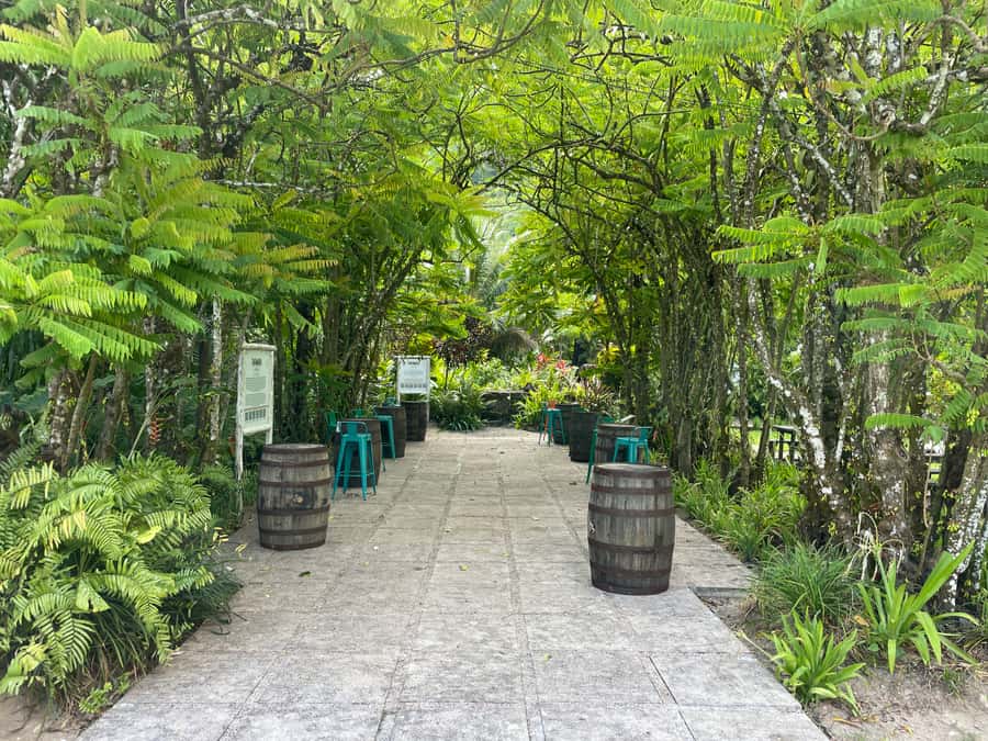Mahe Island: Private Mahe Island Tour - What to pack and what to budget