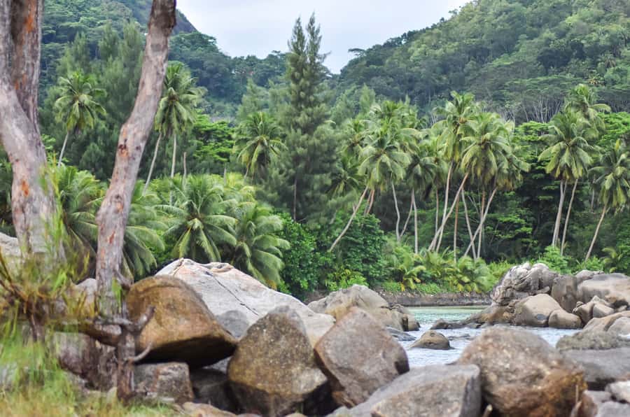 Mahe Island: Private Mahe Island Tour - Local food and drinks fit best into the full-day plan