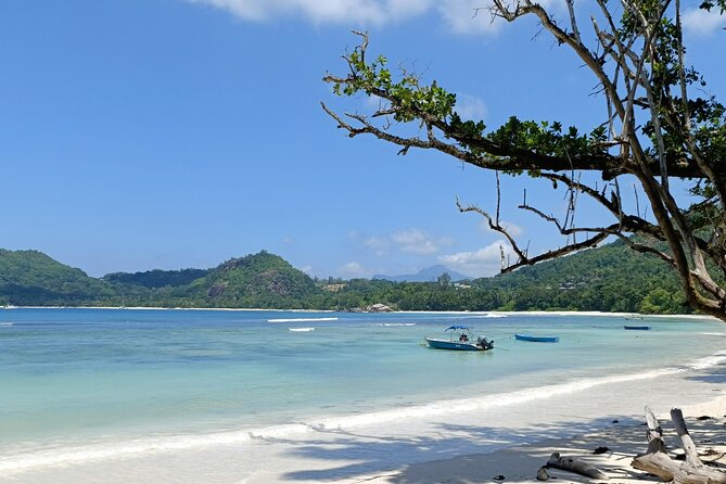 Mahe island Seychelles , unforgettable & adventurous tour - Anse Takamaka Beach and the tortoises